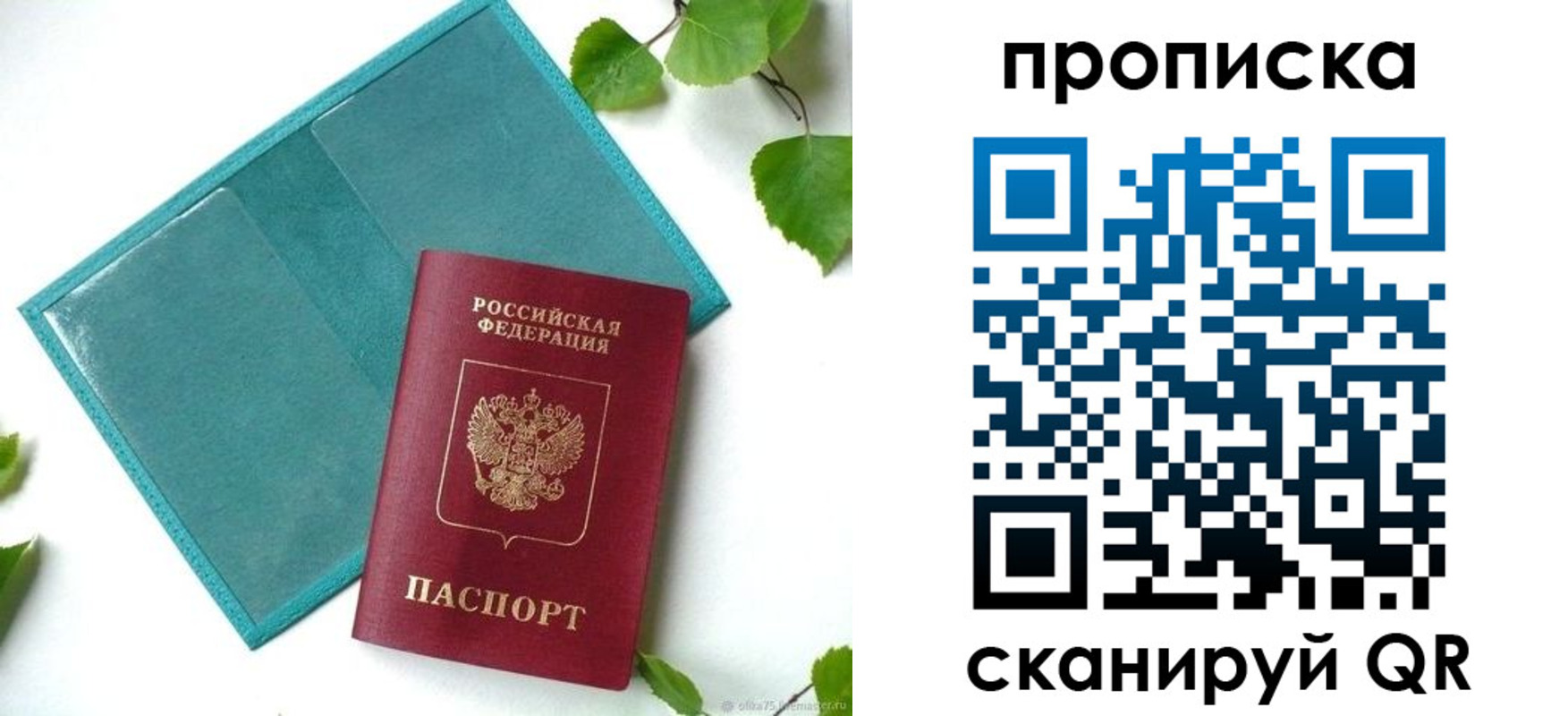 прописка штамп в Жукове